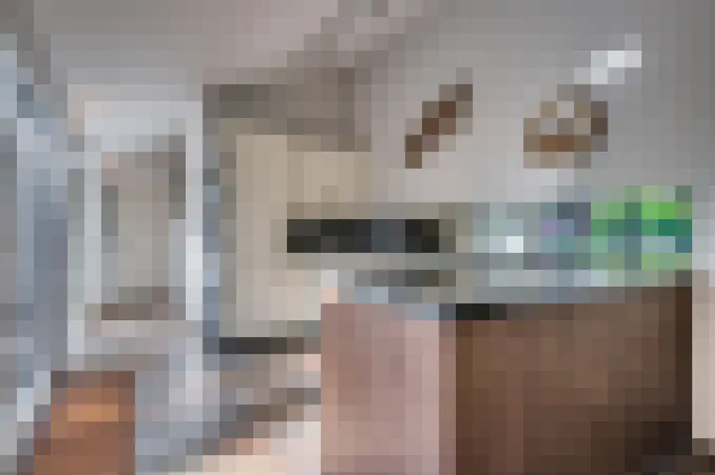 Tacituslaan 1 Venlo thumbnail 17