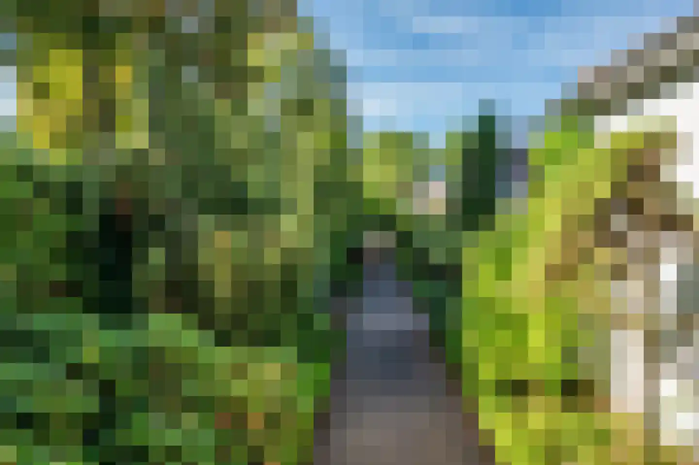 Tacituslaan 1 Venlo thumbnail 55