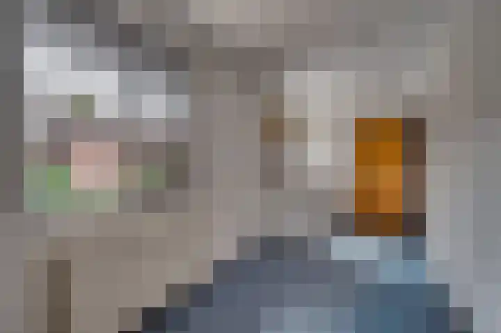 Tacituslaan 11 Venlo thumbnail 23
