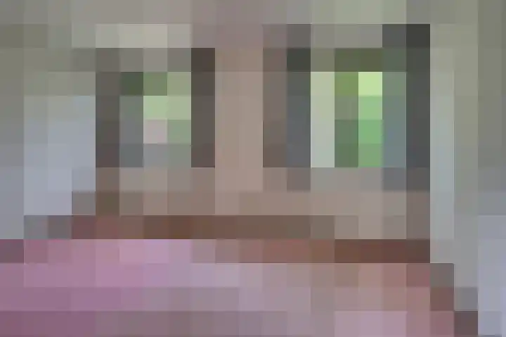 Tacituslaan 11 Venlo thumbnail 27