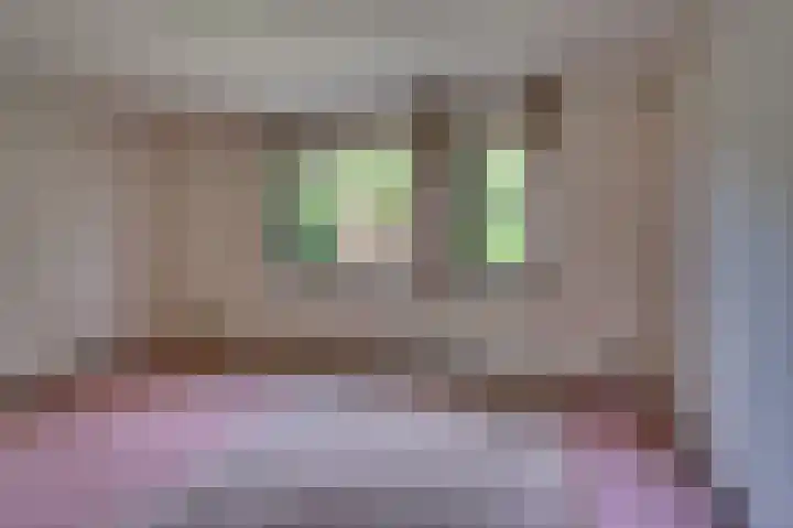 Tacituslaan 11 Venlo thumbnail 31