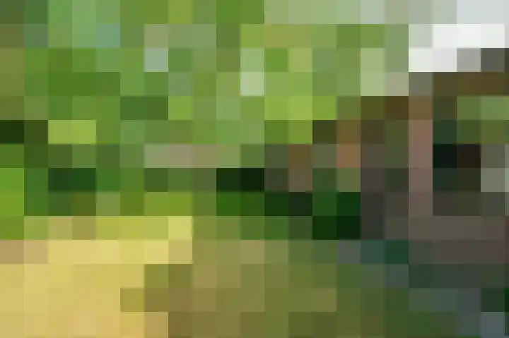 Tacituslaan 11 Venlo thumbnail 48