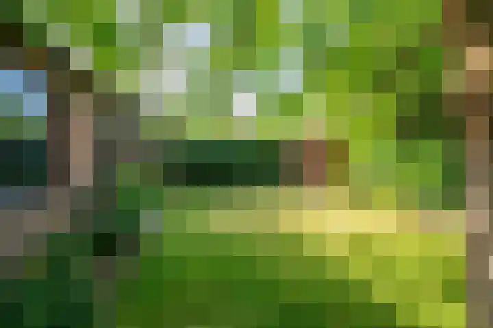 Tacituslaan 11 Venlo thumbnail 50