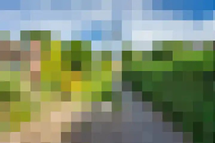 Tacituslaan 11 Venlo thumbnail 52