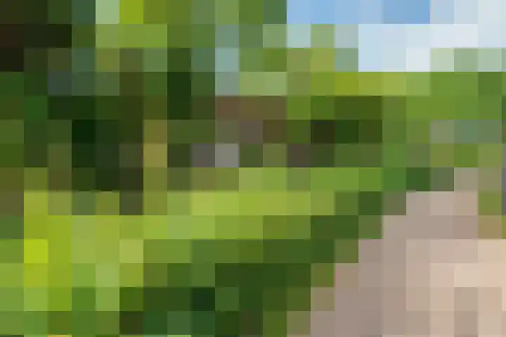 Tacituslaan 11 Venlo thumbnail 53