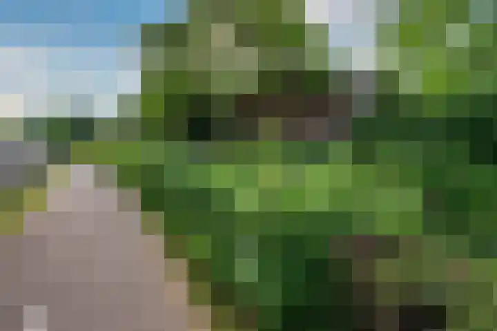 Tacituslaan 11 Venlo thumbnail 54