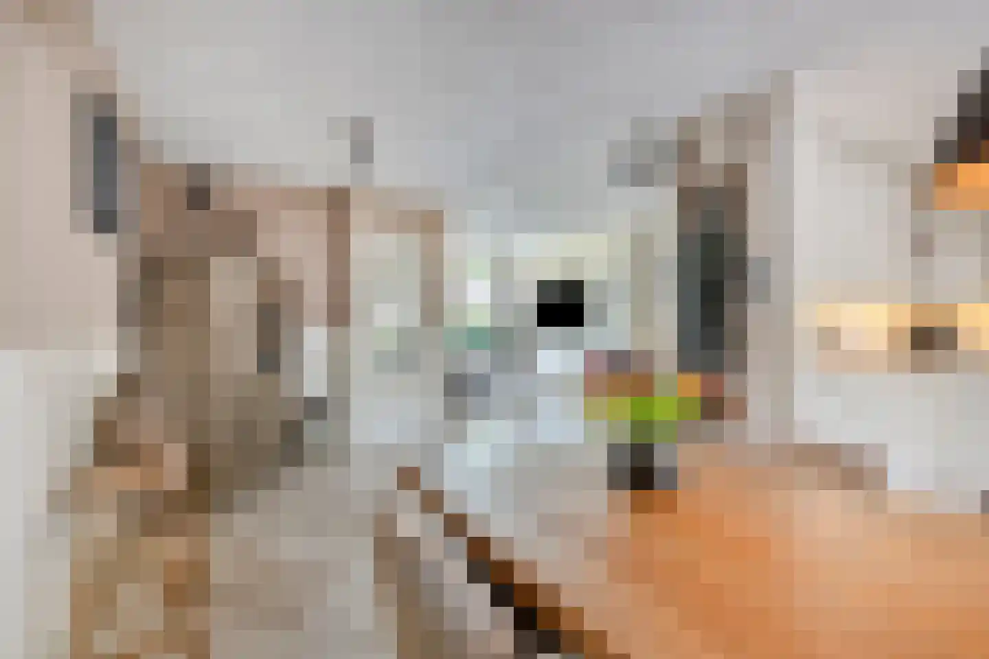 Tacituslaan 17 Eindhoven thumbnail 17