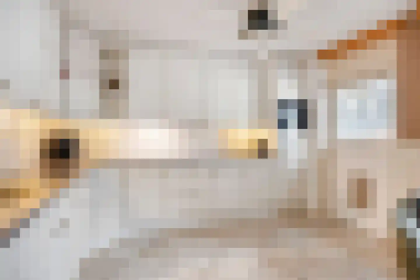 Tacituslaan 17 Eindhoven thumbnail 19