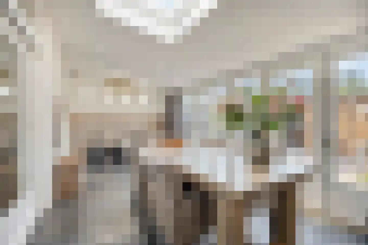 Tacituslaan 17 Eindhoven thumbnail 23