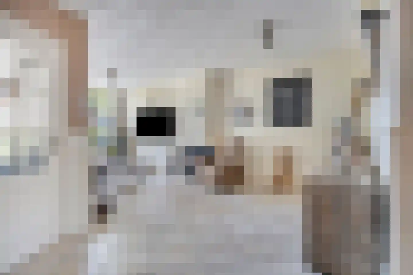 Tacituslaan 17 Eindhoven thumbnail 9