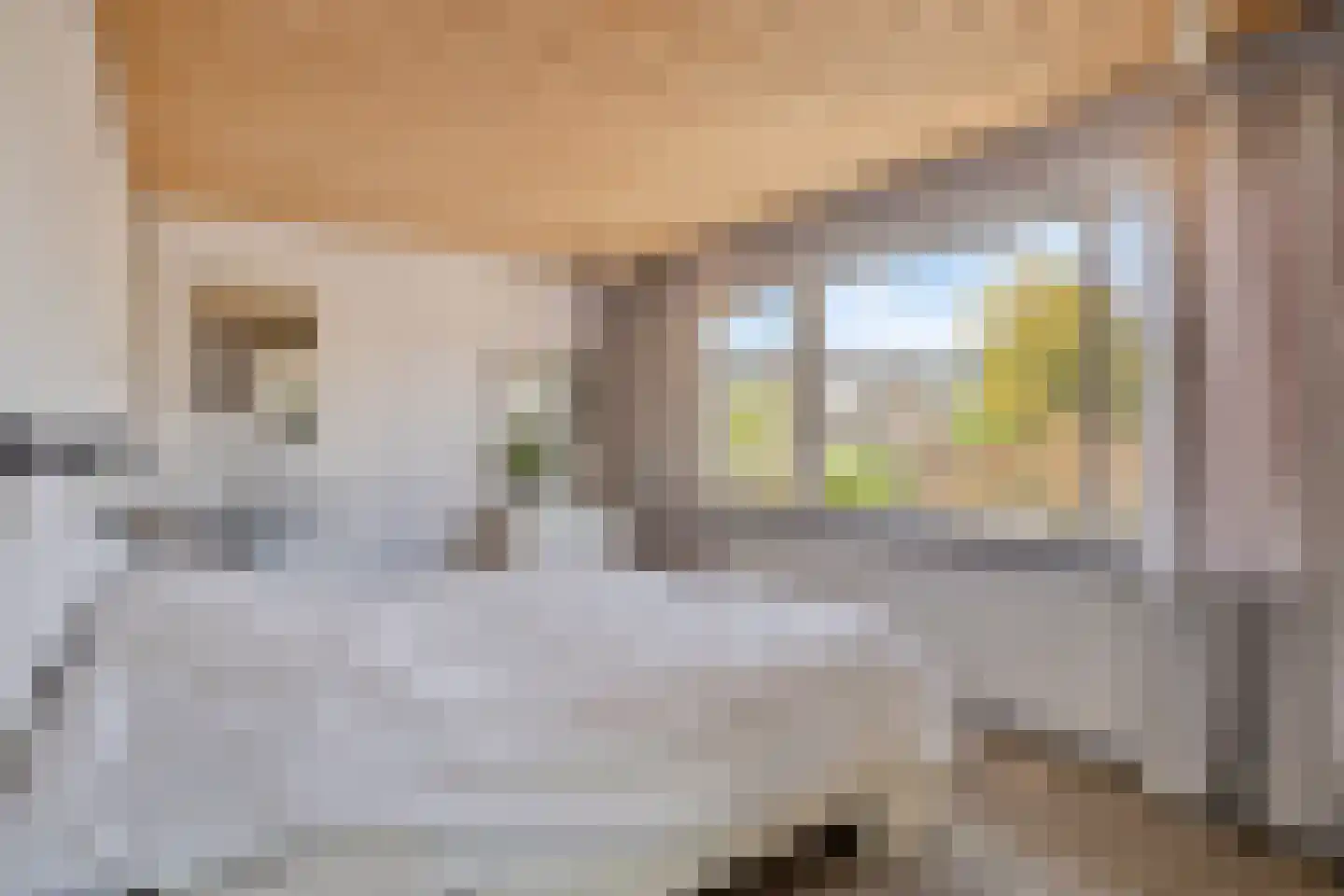 Tacituslaan 20 Eindhoven thumbnail 23