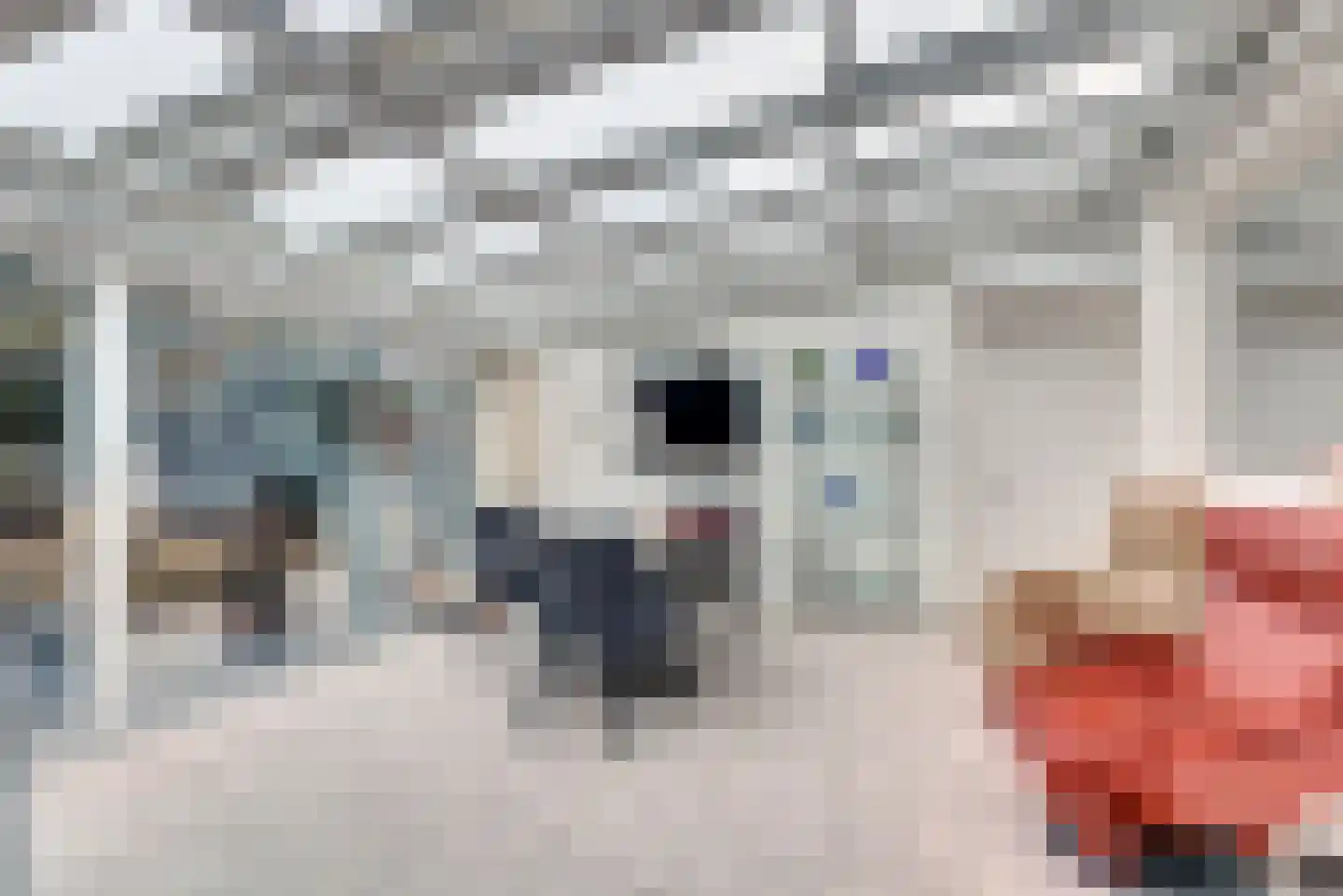 Tacituslaan 27 Venlo thumbnail 11