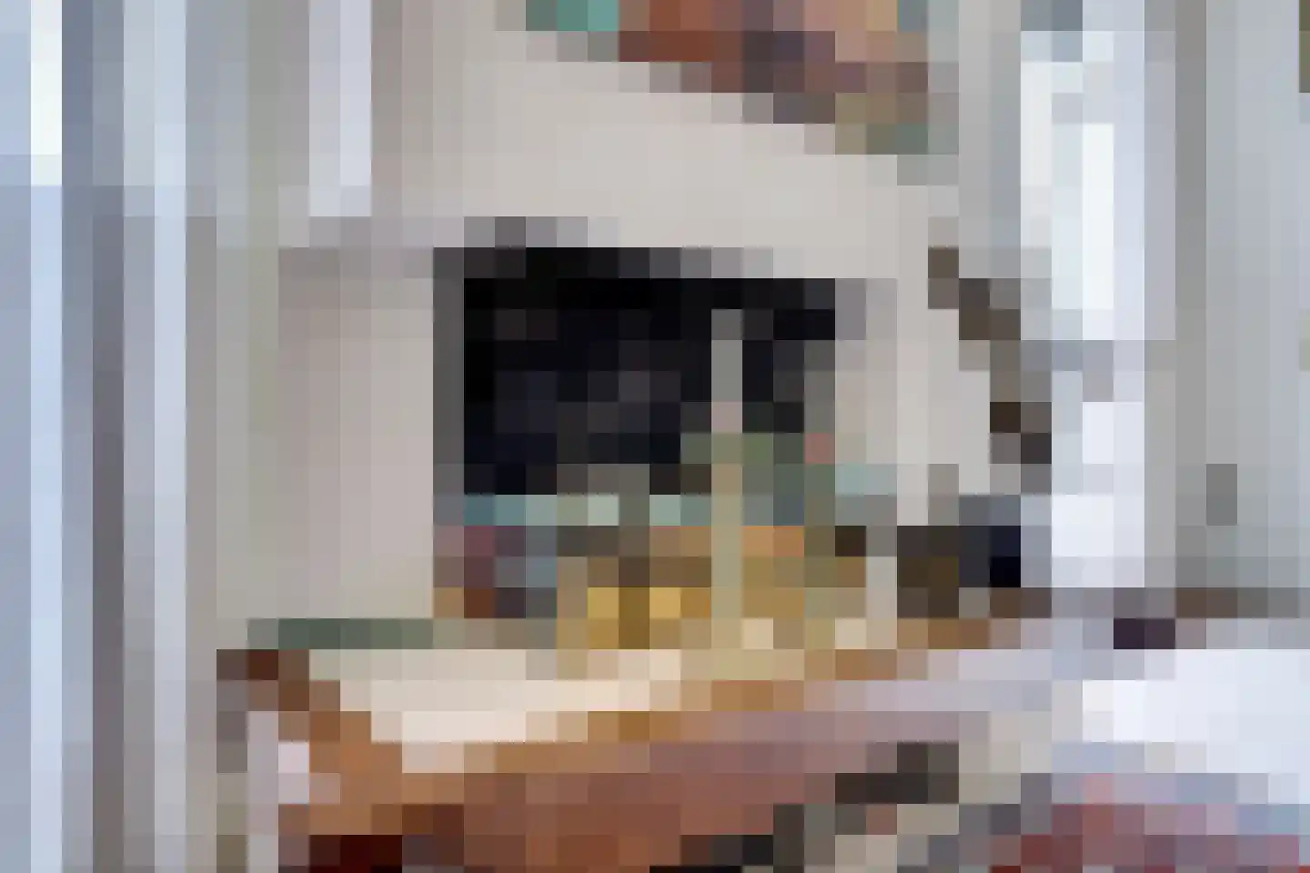 Tacituslaan 27 Venlo thumbnail 6