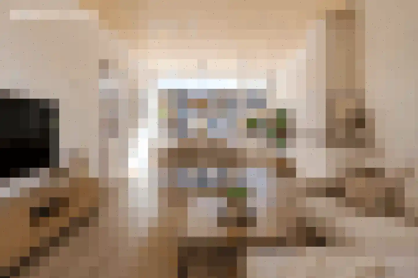 Tacituslaan 37 Eindhoven thumbnail 6