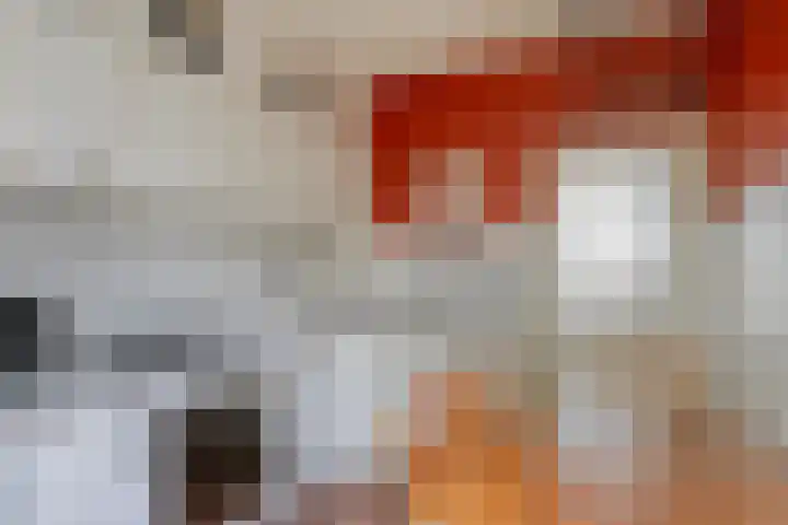 Tacituslaan 45 Eindhoven thumbnail 11