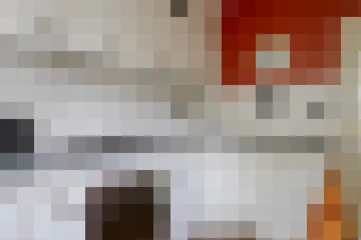 Tacituslaan 45 Eindhoven thumbnail 12