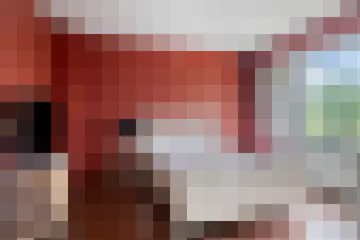 Tacituslaan 45 Eindhoven thumbnail 14