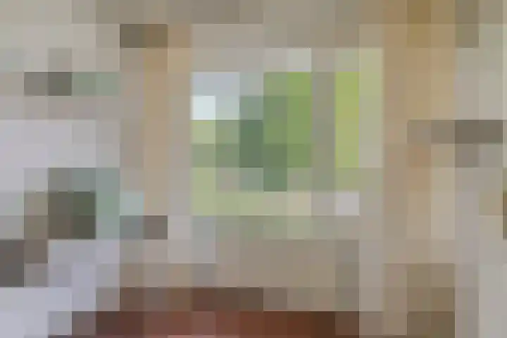 Tacituslaan 45 Eindhoven thumbnail 19
