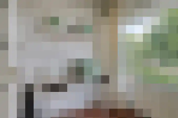 Tacituslaan 45 Eindhoven thumbnail 20