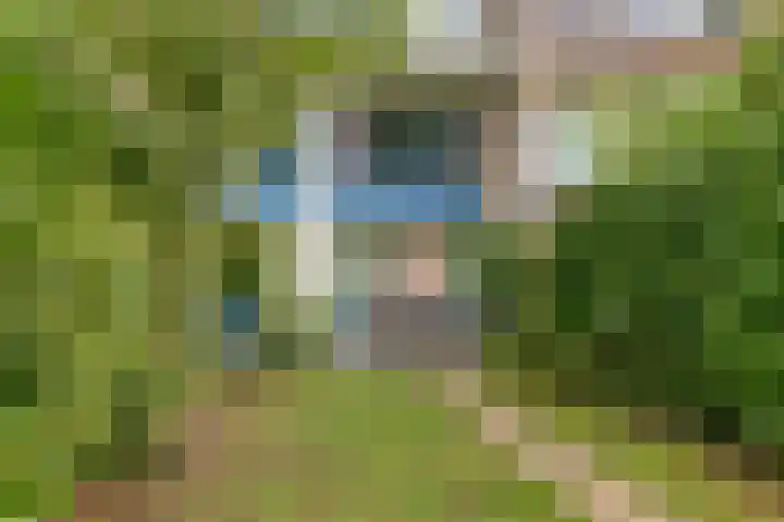 Tacituslaan 45 Eindhoven thumbnail 23