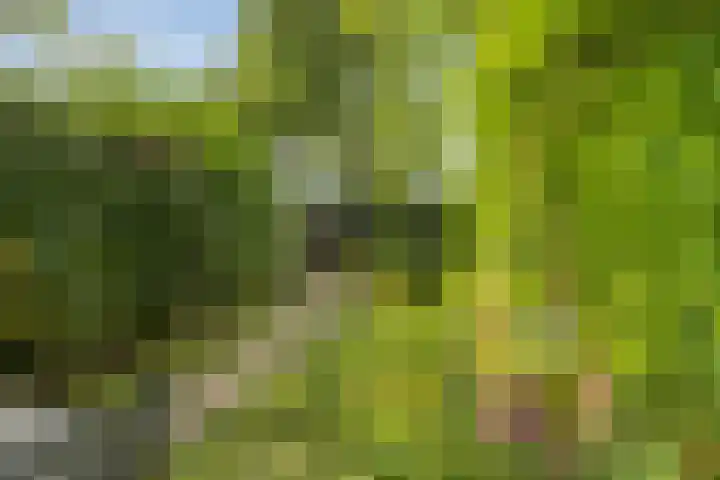 Tacituslaan 45 Eindhoven thumbnail 4