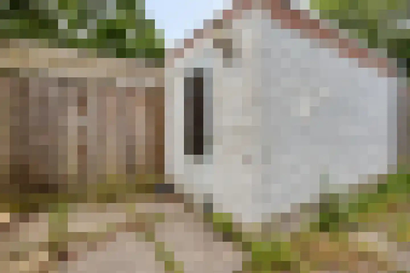 Tacituslaan 49 Eindhoven thumbnail 27