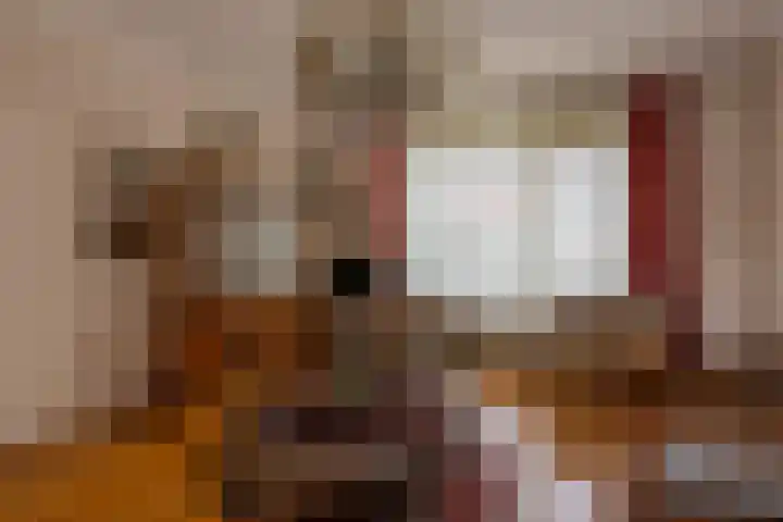 Tacitusstraat 7 Heerlen thumbnail 7
