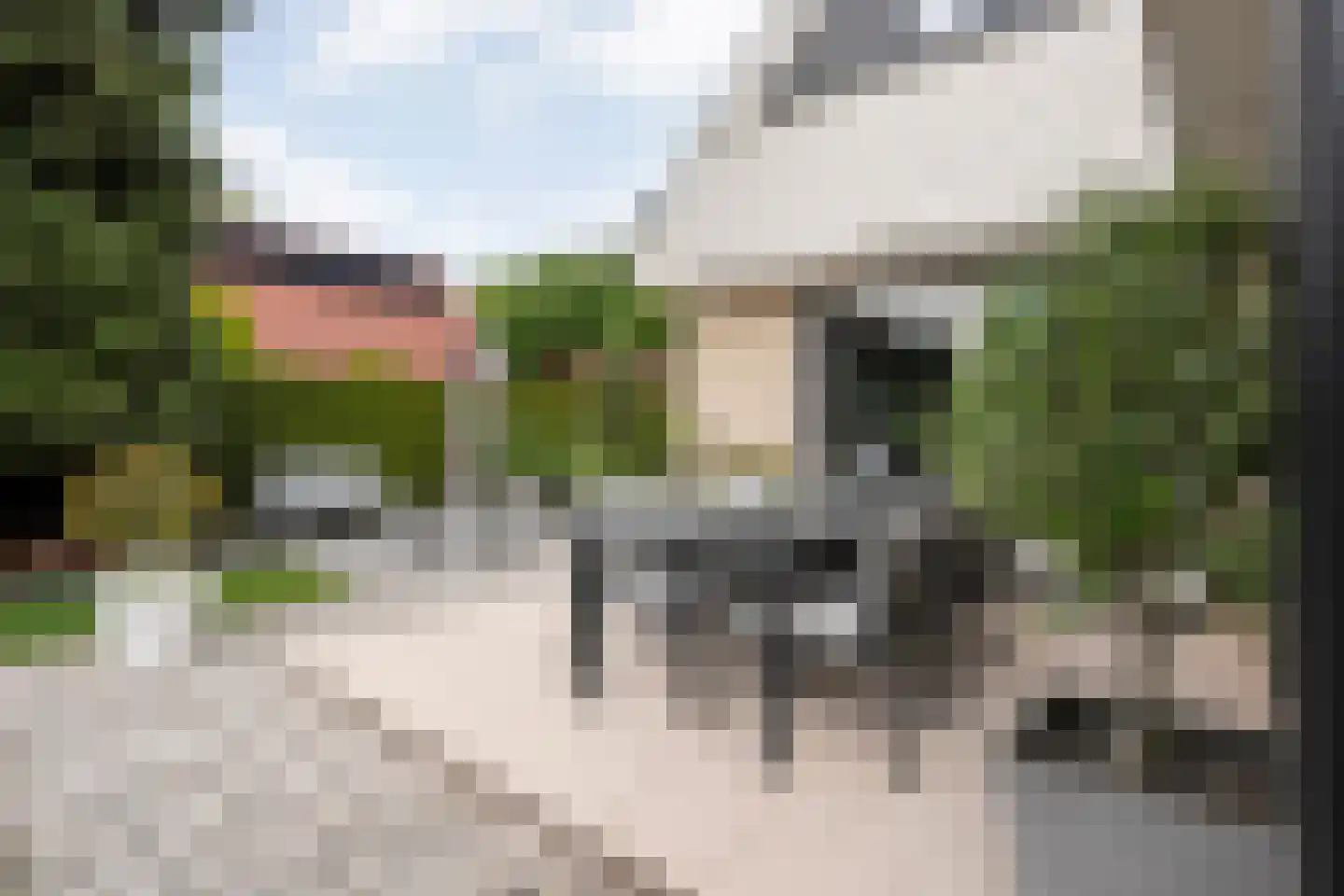 Tackinkstraat 3 Ootmarsum thumbnail 35