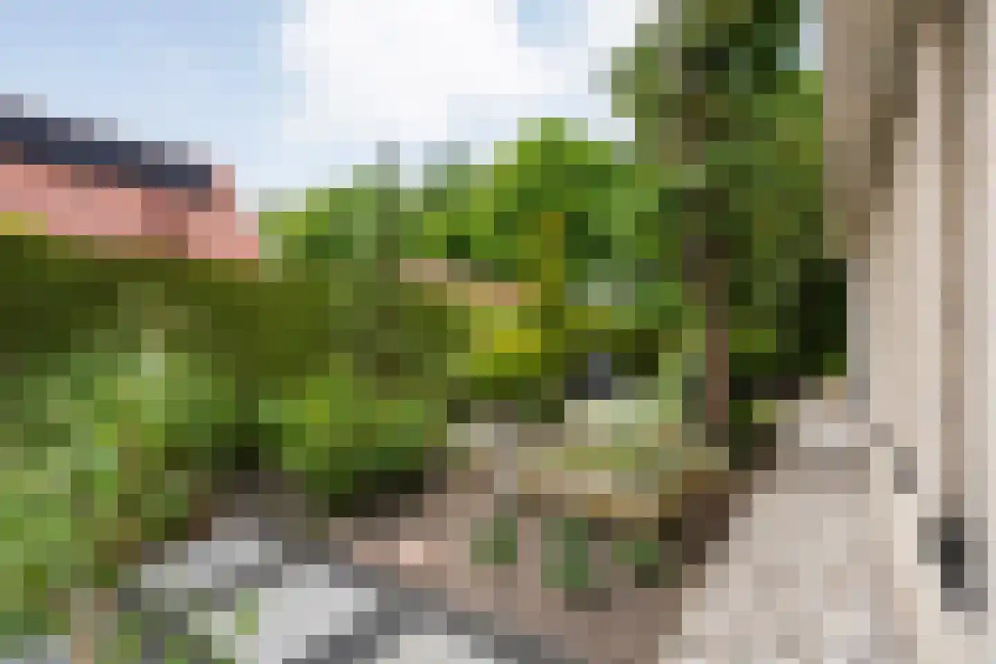 Tackinkstraat 3 Ootmarsum thumbnail 36