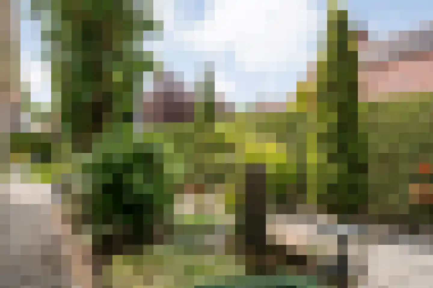 Tackinkstraat 3 Ootmarsum thumbnail 37