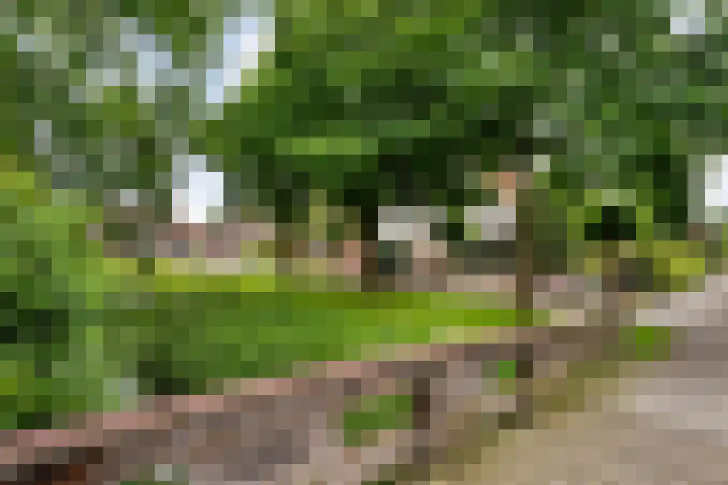 Tackinkstraat 3 Ootmarsum thumbnail 39