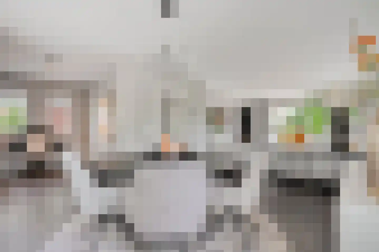 Tackinkstraat 3 Ootmarsum thumbnail 6