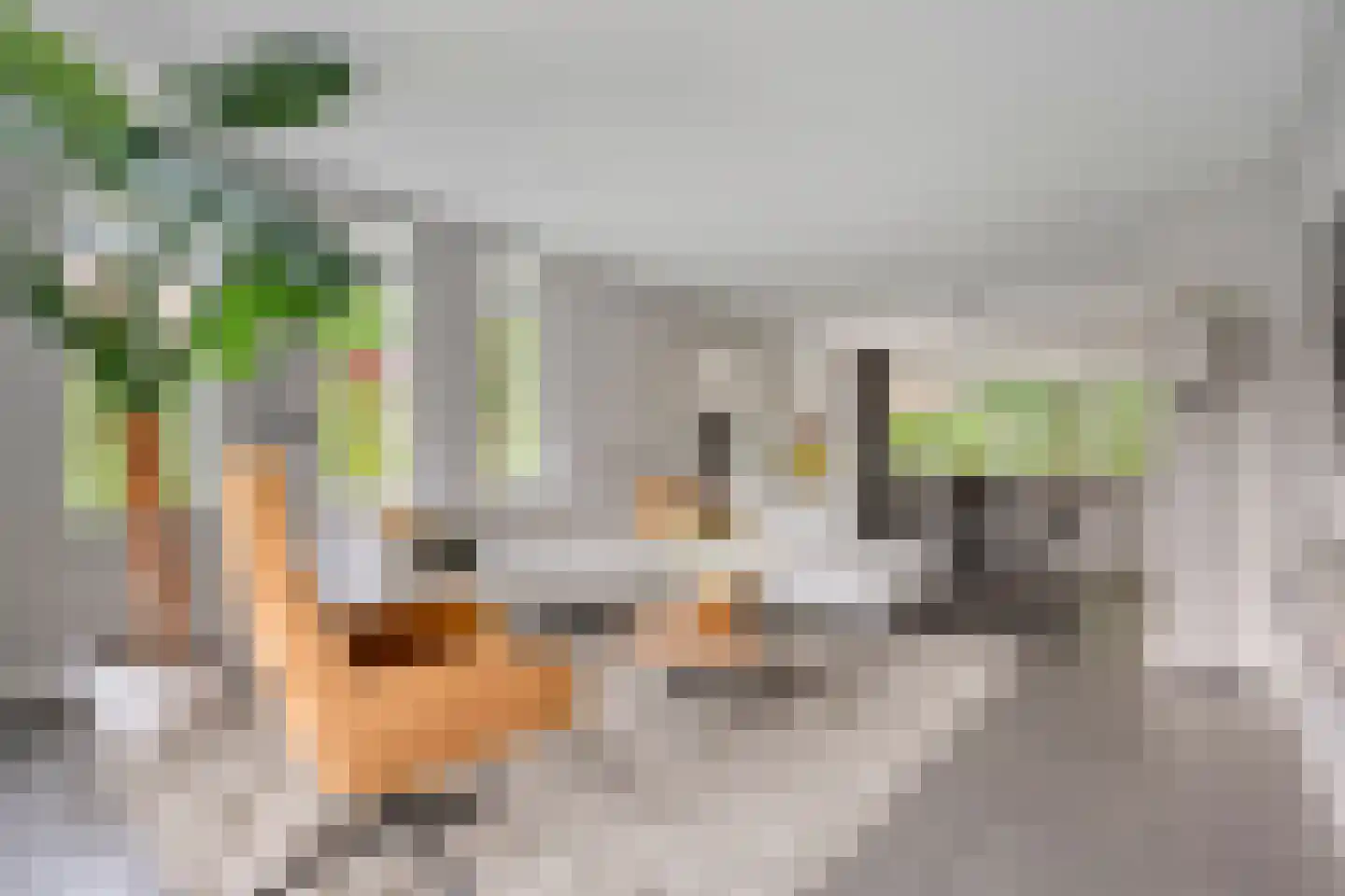 Tackinkstraat 3 Ootmarsum thumbnail 8