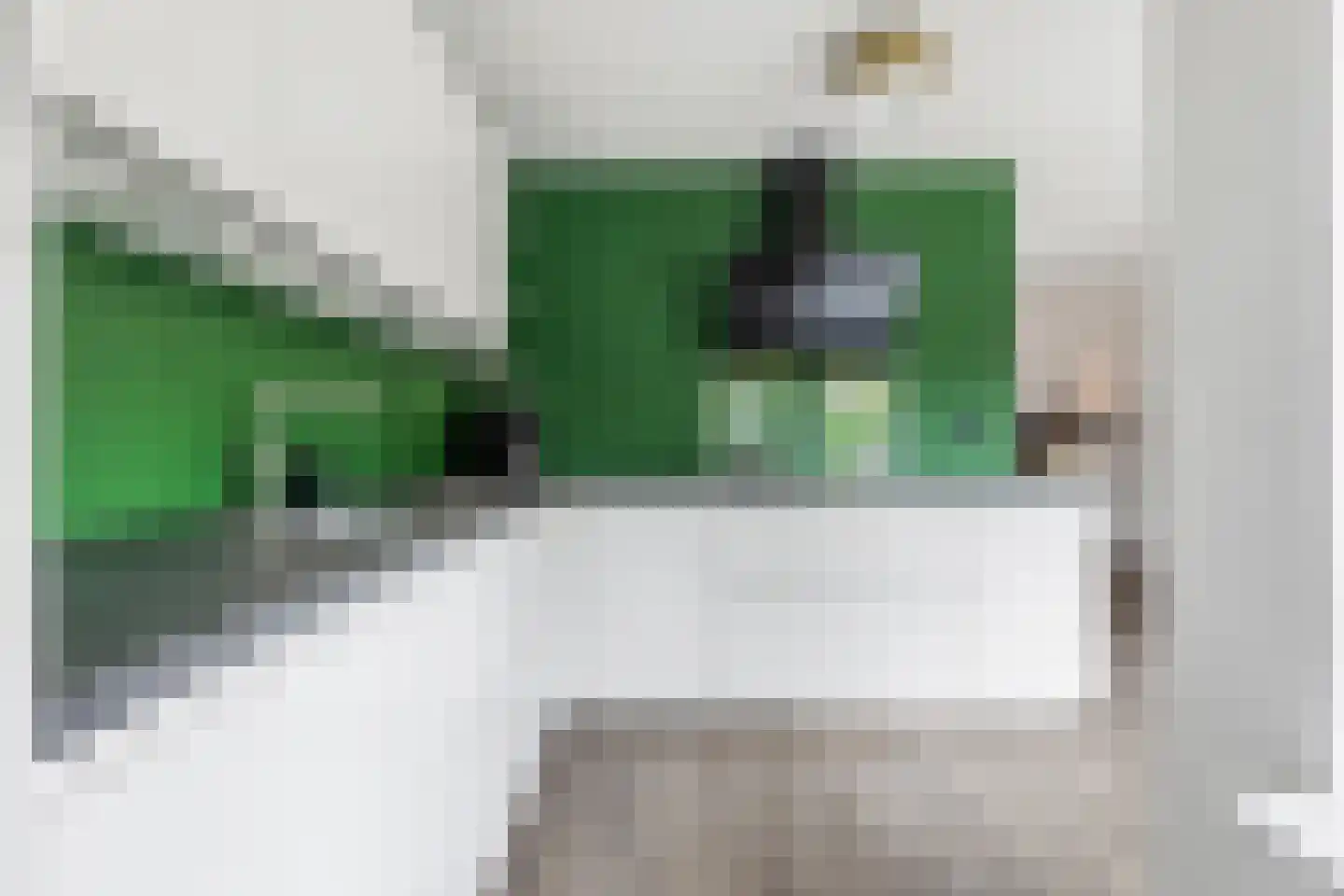 Taco Haringastraat 11 Schildwolde thumbnail 15