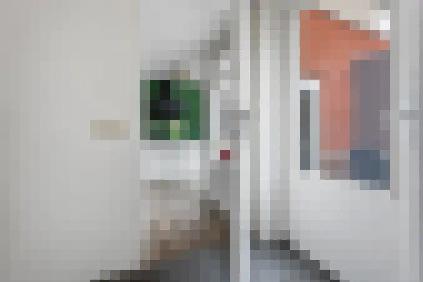 Taco Haringastraat 11 Schildwolde thumbnail 17