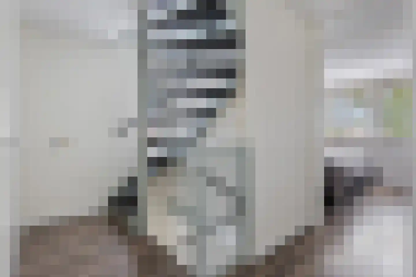 Taco Haringastraat 11 Schildwolde thumbnail 29