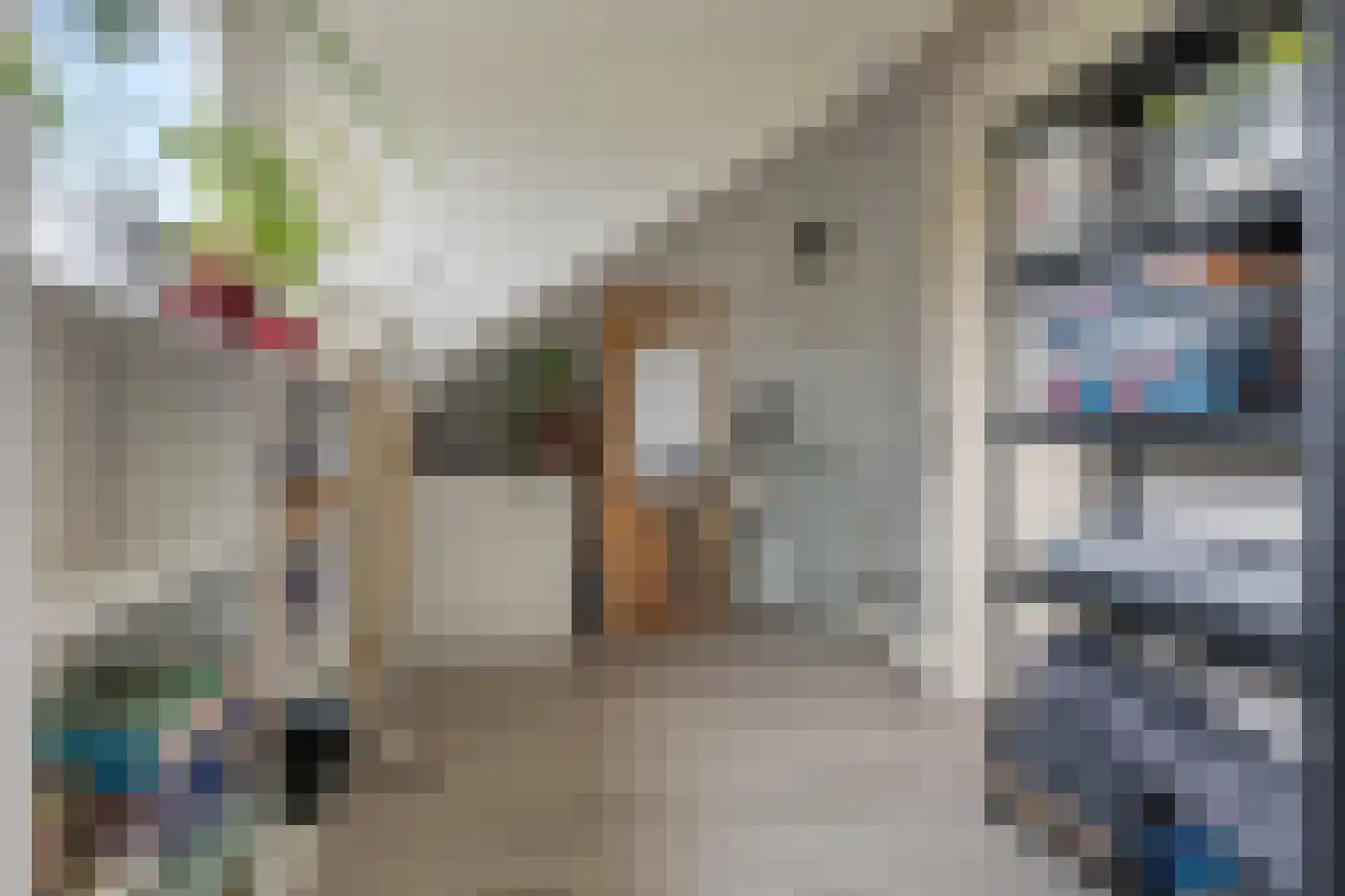 Taco Haringastraat 11 Schildwolde thumbnail 31