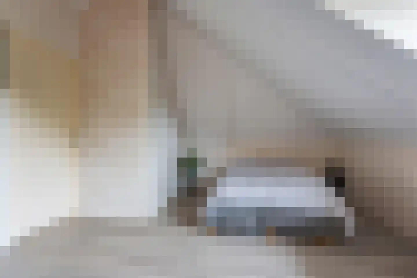 Taco Haringastraat 11 Schildwolde thumbnail 33