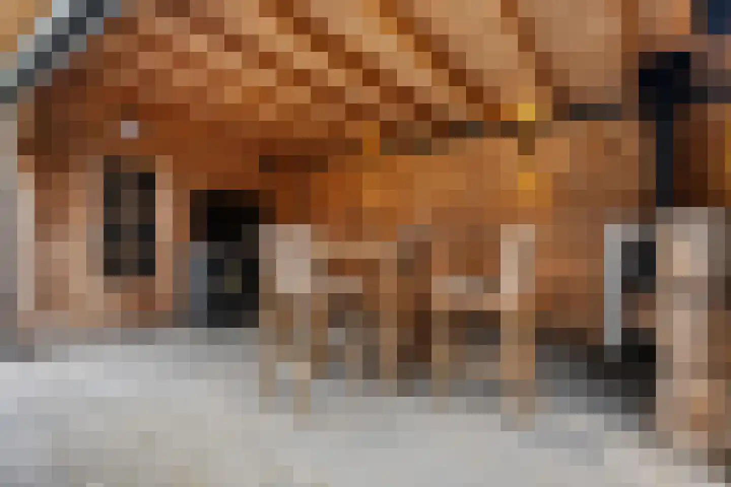 Taco Haringastraat 11 Schildwolde thumbnail 38