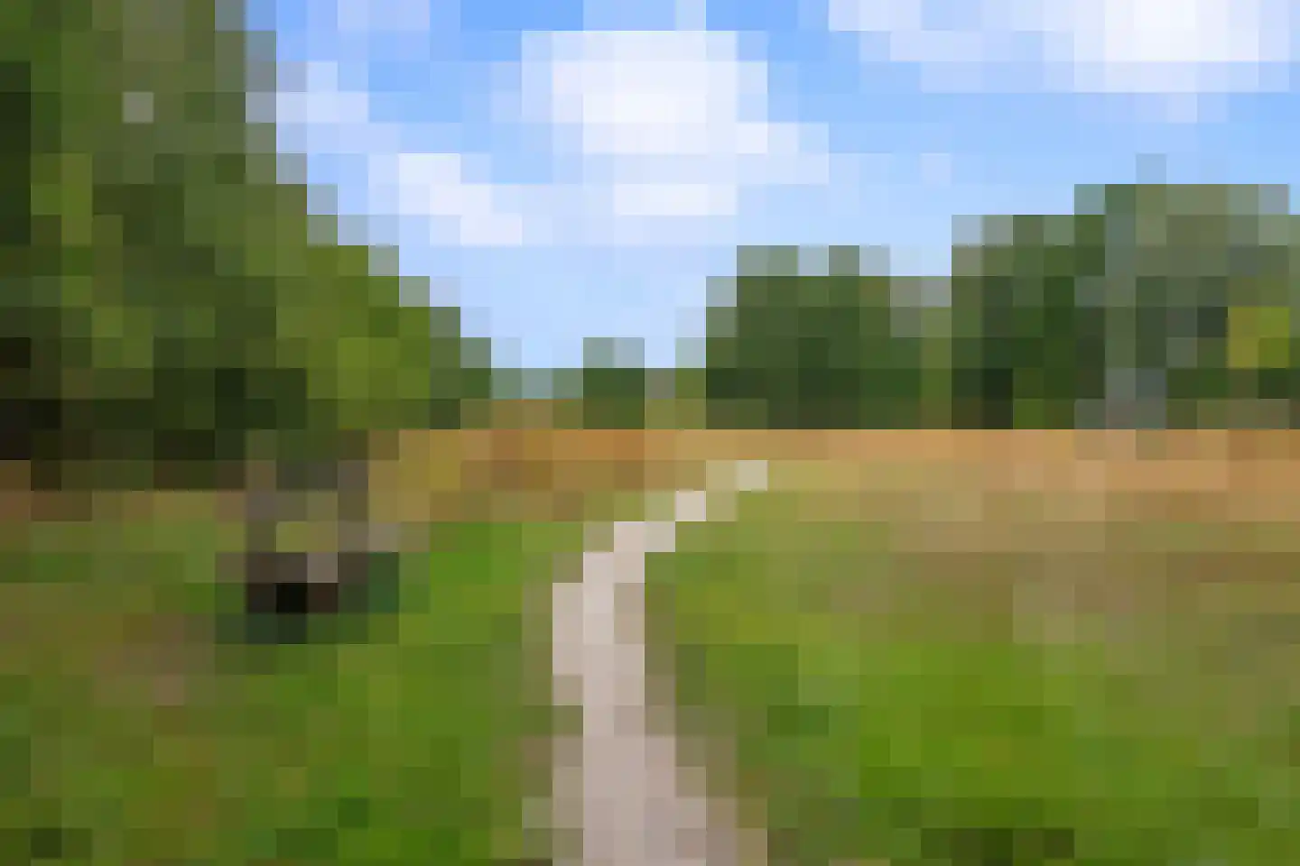 Taco Haringastraat 11 Schildwolde thumbnail 47