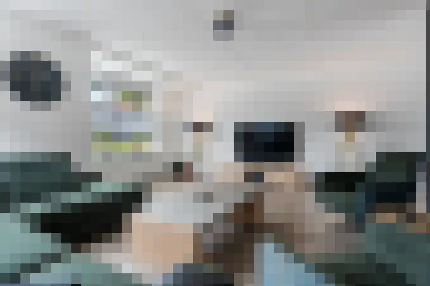 Taco Haringastraat 11 Schildwolde thumbnail 9