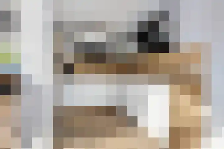 Taco Haringastraat 18 Schildwolde thumbnail 12
