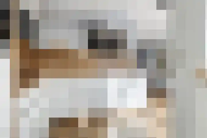 Taco Haringastraat 18 Schildwolde thumbnail 13