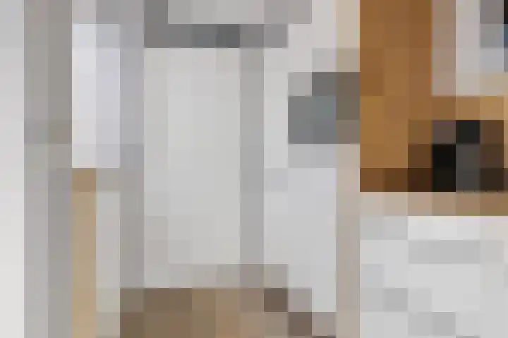 Taco Haringastraat 18 Schildwolde thumbnail 15
