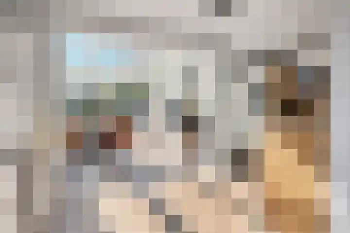 Taco Haringastraat 18 Schildwolde thumbnail 16