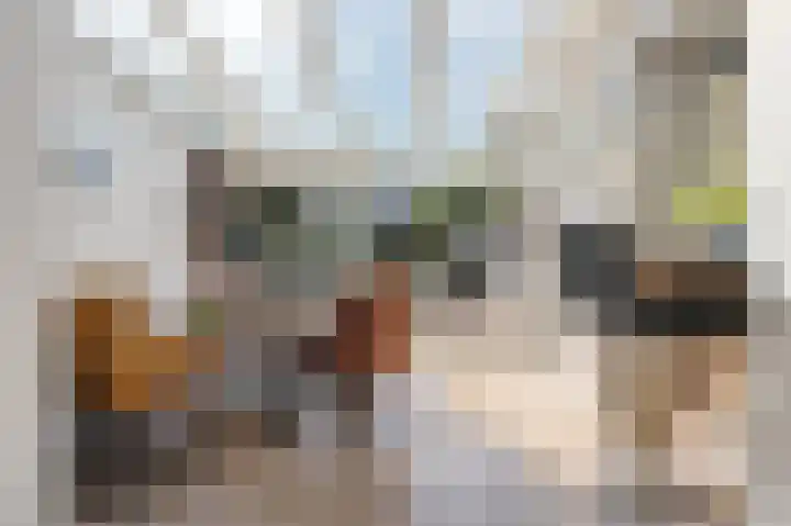 Taco Haringastraat 18 Schildwolde thumbnail 17