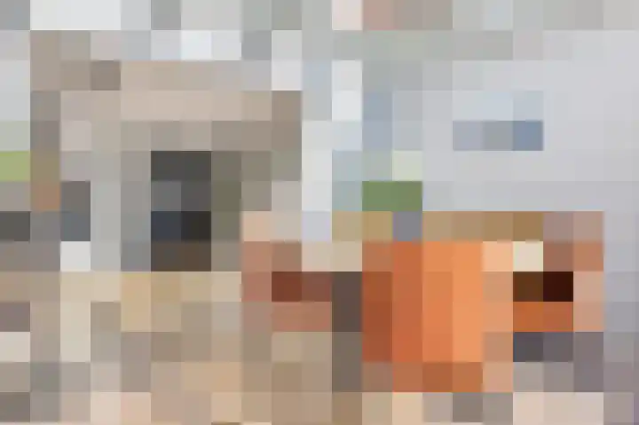 Taco Haringastraat 18 Schildwolde thumbnail 18