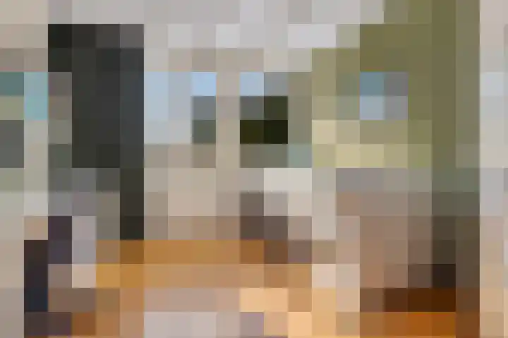 Taco Haringastraat 18 Schildwolde thumbnail 25