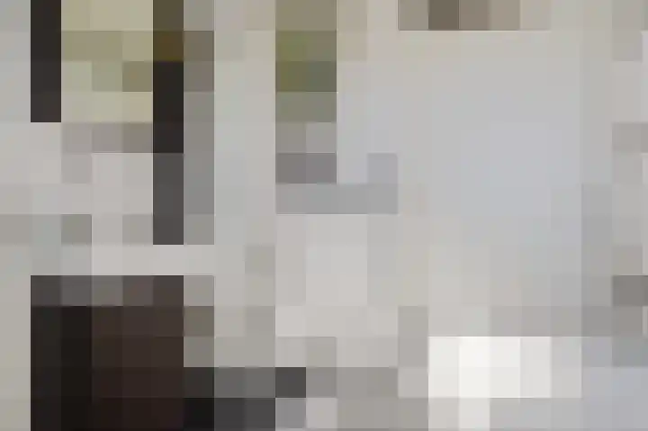 Taco Haringastraat 18 Schildwolde thumbnail 31