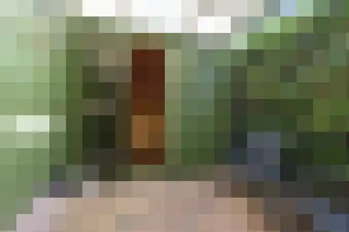 Taco Haringastraat 18 Schildwolde thumbnail 36